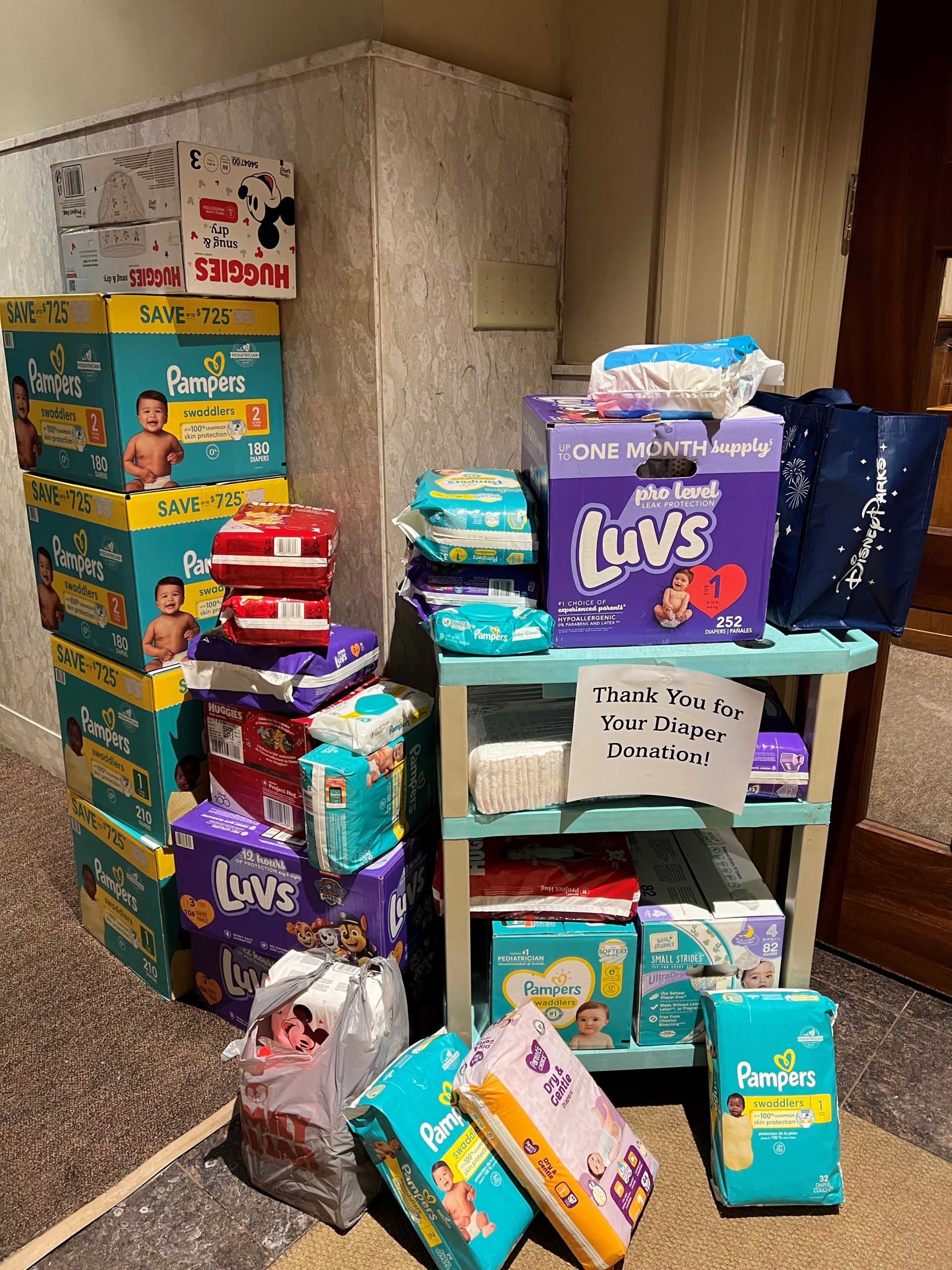 More than 2,200 diapers collected during 2024 Diocesan ‘Mass for Life