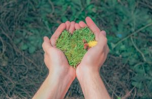 person holding grass in their hands