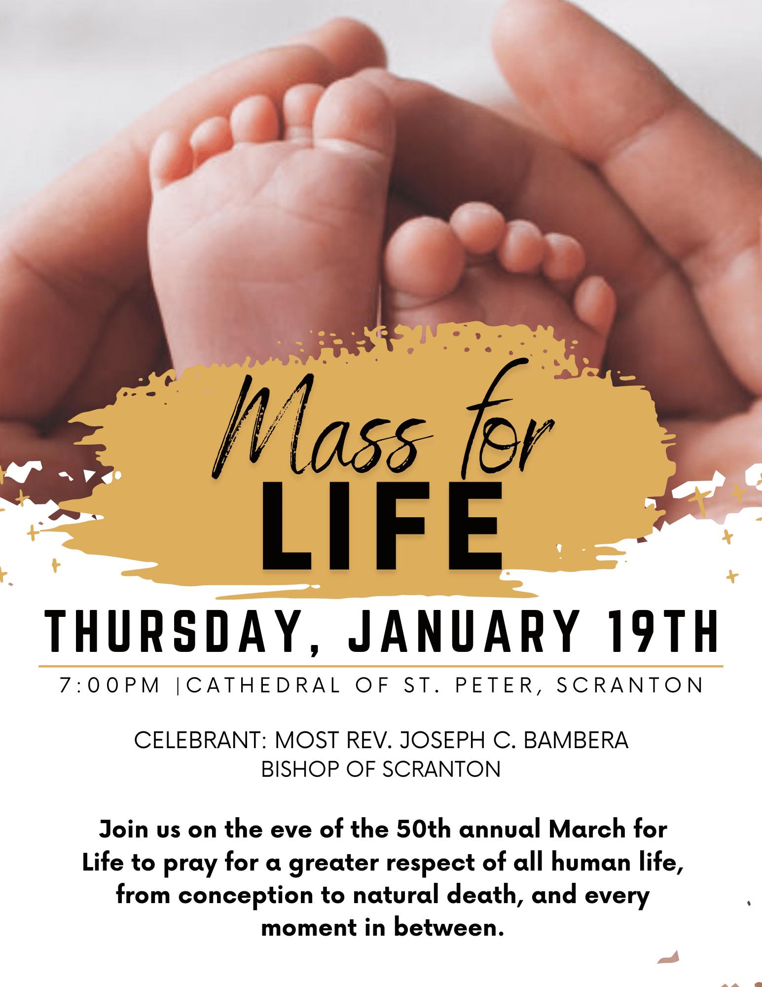 Diocese of Scranton to hold Mass for Life Jan. 19 in Scranton Diocese